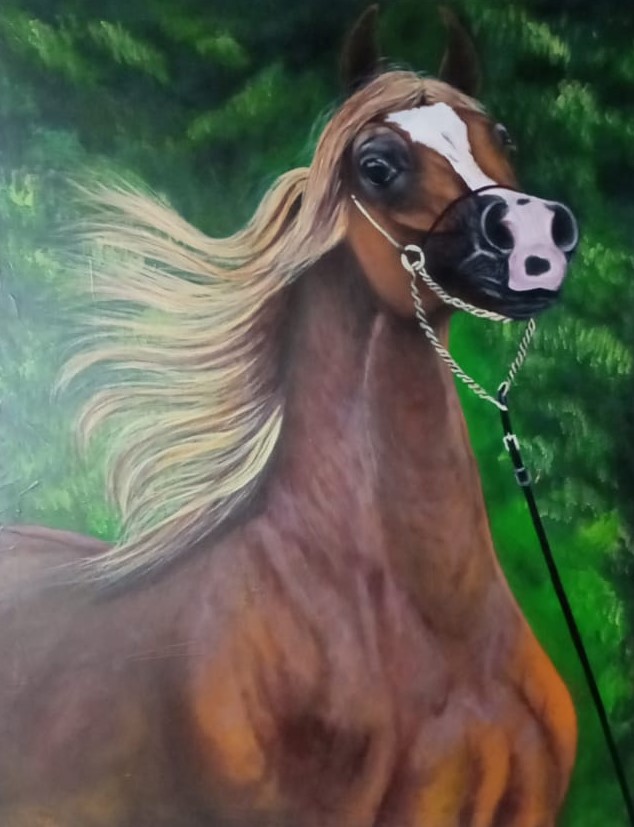Impetuoso, caballo árabe oleo sobre lienzo 90x70cm